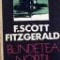 F. Scott Fitzgerald - Blandetea noptii