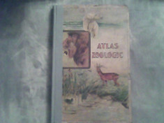 Atlas zoologic foto