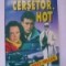 Irwin Shaw - Cersetor, hot