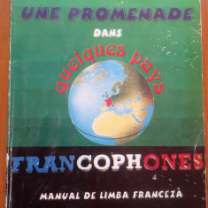 Manual de limba franceza - Ileana Constantinescu, D. Pricop, L. Blajovici