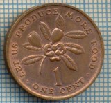 1025 MONEDA - JAMAICA - ONE CENT -F.A.O. -anul 1973 -starea care se vede