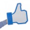 WOW ! Facebook Like Real - manusa adevarata