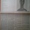 ziarul viata literara 17 noiembrie 1928