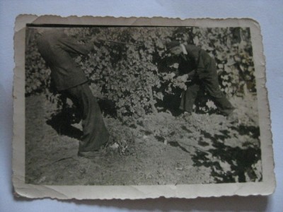 FOTOGRAFIE DIN ANII 50 foto