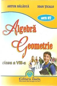 ALGEBRA GEOMETRIE CLASA 8 CULEGERE foto