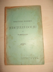 EVOLUTIUNEA ECONOMICA A JUDETULUI DOLJIU - 1906 foto