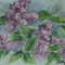 Tablou &quot;Liliac&quot; pictura in acrilic pe carton panzat, 30x25 cm