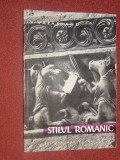 V. VATASIANU - STILUL ROMANIC