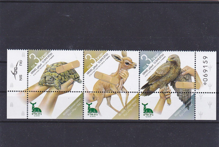 Fauna ,testoasa,soim,caprioara,cu TAPS ,Israel.