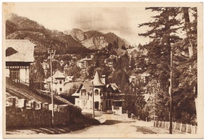 carte postala(ilustrata)- SINAIA-vedere foto