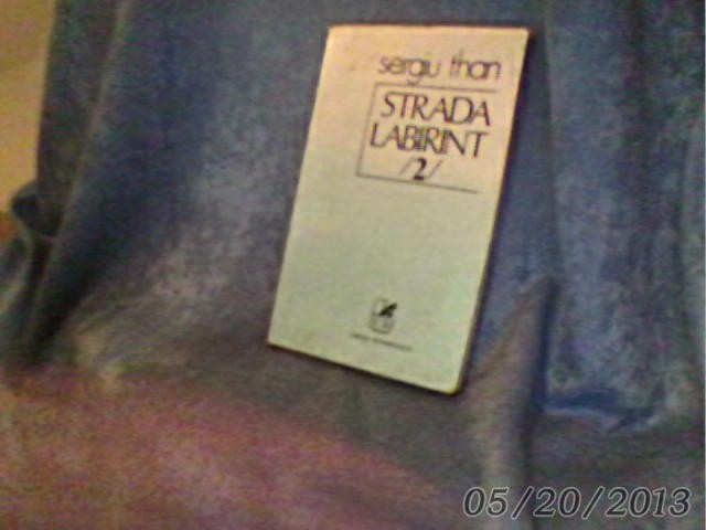 SERGIU THAN//STRADA LABIRINT 2 DE SERGIU THAN