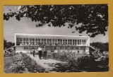 AMARA IALOMITA 1964
