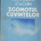 (E200) - ALEXANDRA IOACHIM - ZGOMOTUL CUVINTELOR