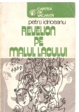 (C3871) REVELION PE MALUL LACULUI DE PETRU IDRICEANU, EDITURA SPORT-TURISM, BUCURESTI, 1981, ILUSTRATII DE TIA PELTZ