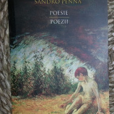 Sandro Penna POESIE / POEZII editie critica bilingva italiana-romana Humanitas 2013