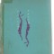 (C3839) NOI SCUFUNDARI FARA CABLU, autor: PHILIPPE TAILLIEZ, EDITURA STIINTIFICA, 1968