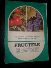 Fructele Si Sanatatea - Gh. Badescu, M. Constantinescu, Lidia Badescu, Gr. foto