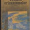 (E322) - NICOLAE MARGEANU - VREMEA CRIZANTEMELOR