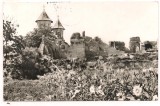 Carte postala(ilustrata)-TIRGOVISTE-Ruine ale Curtii Domnesti, Circulata, Fotografie
