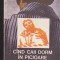 (E366) - NICOLAE DANCIU PETNICEANU - CAND CAII DORM IN PICIOARE
