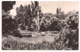 carte postala(ilustrata)-BUCURESTI-Gradina Cismigiu