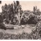 carte postala(ilustrata)-BUCURESTI-Gradina Cismigiu