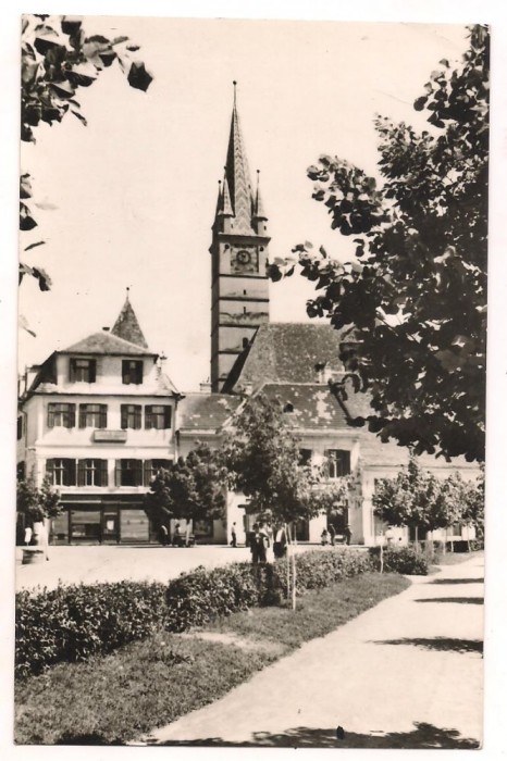 carte postala(ilustrata)-MEDIAS