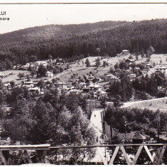 RPR,CP circulata 1960,Poiana Tapului,vedere spre Zanoaga