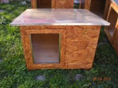 Cusca cotet caine din lemn OSB foto