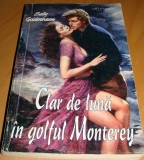 Clar de luna in golful Monterey - Sally Goldenbaum, 1994