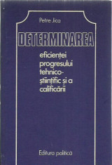 Petre Jica - DETERMINAREA EFICIENTEI PROGRESULUI TEHNICO-STIINTIFIC SI A CALIFICARII foto