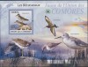 COMORE 2009 PASARI, MICHEL CATALOG BK 517, Africa de sud, Natura
