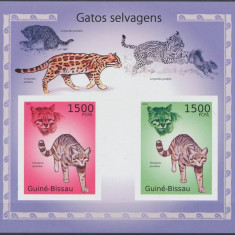 GUINEA BISSAU 2010 FAUNA,FELINE NEDANTENTELATA- COTA 30 EURO IN MICHEL CATALOG BK 869B