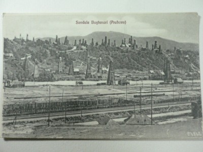 SONDELE BUSTENARI - PRAHOVA foto