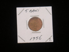 M - 5 BANI 1956 foto