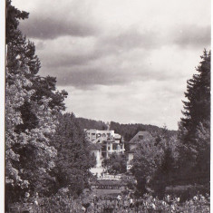 RPR,CP circulata 1963,Govora vedere din parc