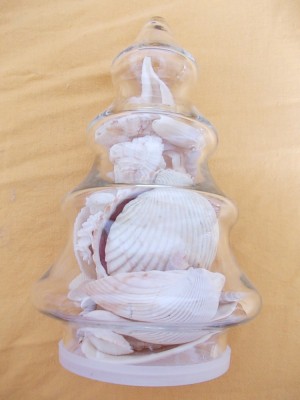 SCOICI ACVARIU PENTRU DECOR ! foto