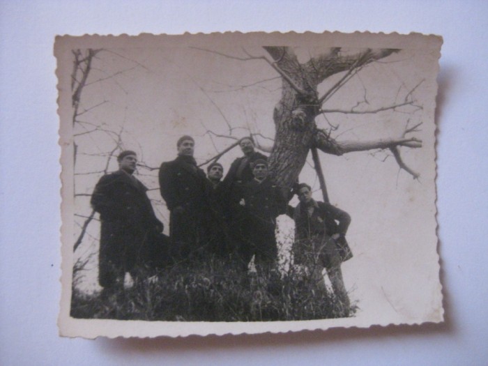 FOTOGRAFIE CU LEGIONARI IN TABARA DE LA BREAZA DIN 1936 foto mare FOTOGRAFIE CU LEGIONARI IN TABARA DE LA BREAZA DIN 1936 foto mare