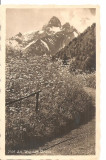 CPI (B2674) GERMANIA. AM WEG NACH GRUBEN, EDITURA VERLAG, CIRCULATA 1937, STAMPILE, TIMBRE, Europa, Fotografie