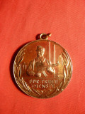 Medalie Serviciu Credincios DDR (Fur Treue Dienste)
