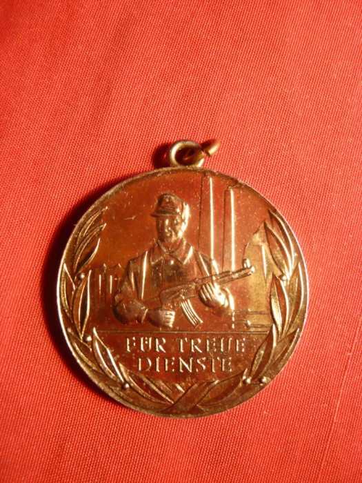 Medalie Serviciu Credincios DDR (Fur Treue Dienste)