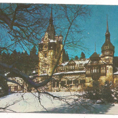 carte postala(ilustrata)-SINAIA-Castelul Peles