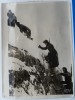 Campania din est; Soldati germani in Caucaz, 1942; foto originala a propaganda