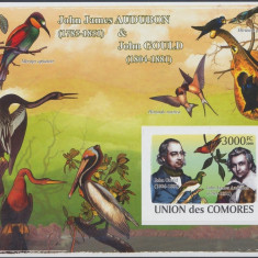 COMORE 2008 PASARI AUDUBON / MICHEL CATALOG BK 457B COTA 30 EURO