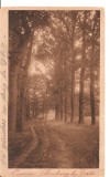 CPI (B2691) OLANDA. PARCUL OMMEN, CIRCULATA 1928, STAMPILA, TIMBRU