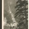 CPI (B2680) AUSTRIA. RAX BAHN: TALSTATION MIT DER TRASSE, EDITURA SCHOLLE VERLAG, CIRCULATA 1926, STAMPILE, TIMBRU