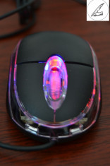 MOUSE Optic fir foto