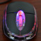 MOUSE Optic fir