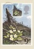 C2669 - Anglia - carte maxima 1979