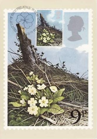 C2669 - Anglia - carte maxima 1979